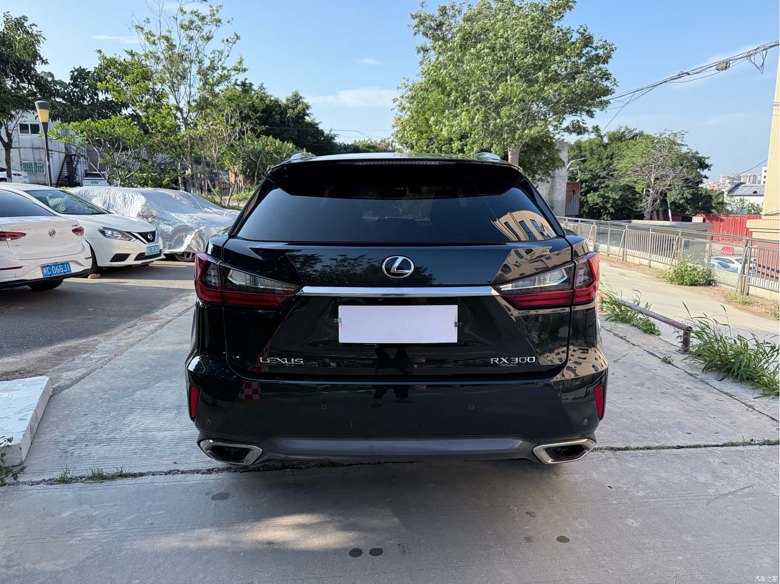 Lexus RX, 2019 6