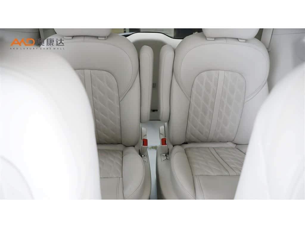 Buick GL8, 2020 9
