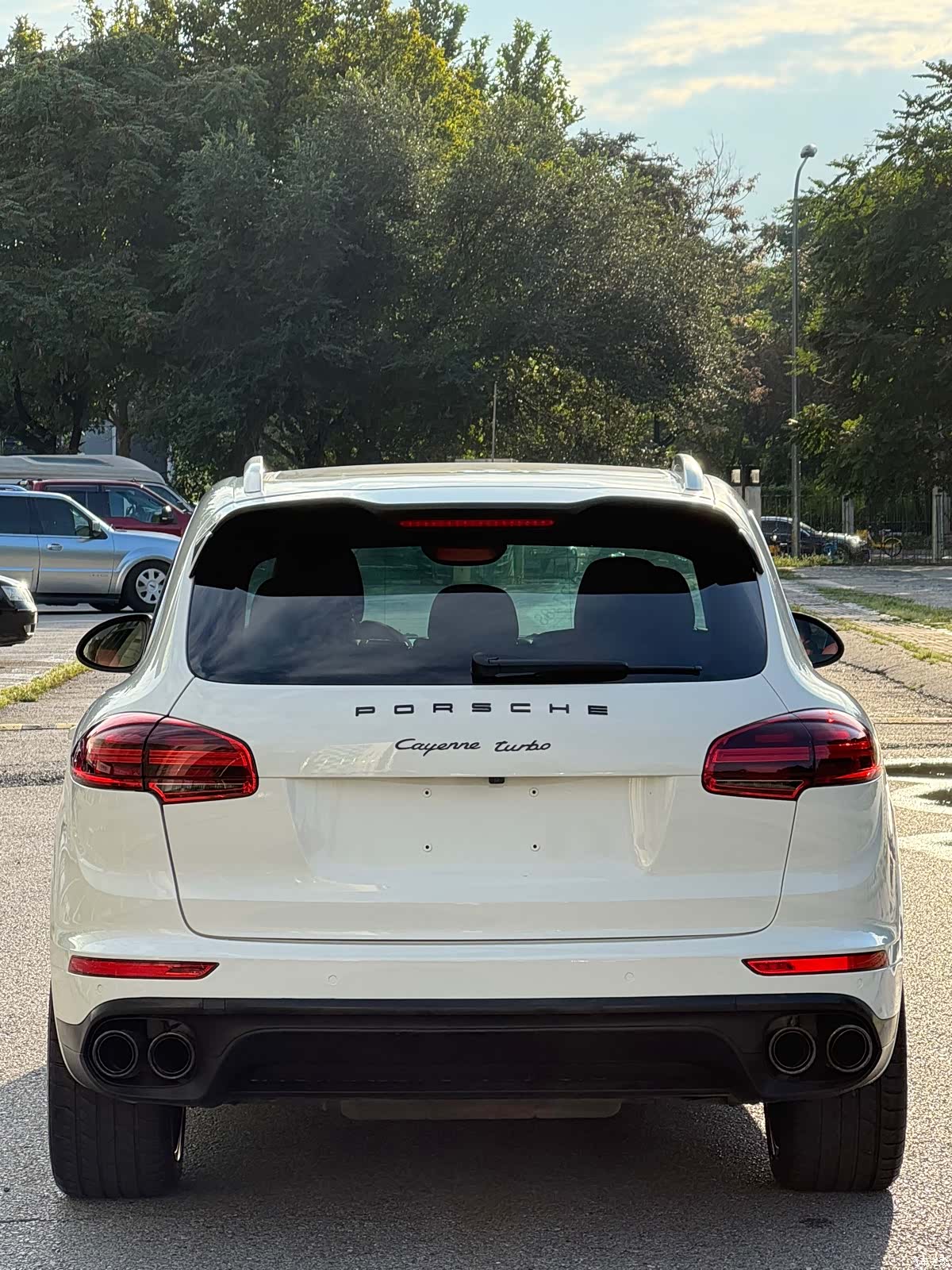 Porsche Cayenne, 2011 7
