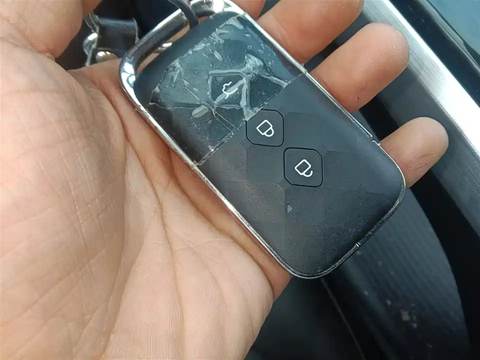 Wuling Wuling Starlight