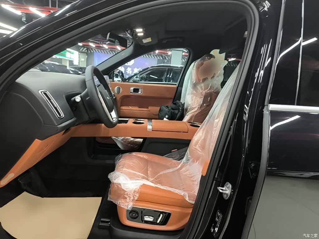 Li Auto L9, 2022 15