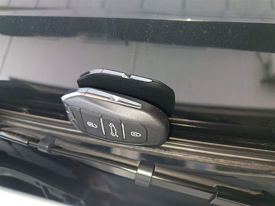 Citroen Versailles C5 X