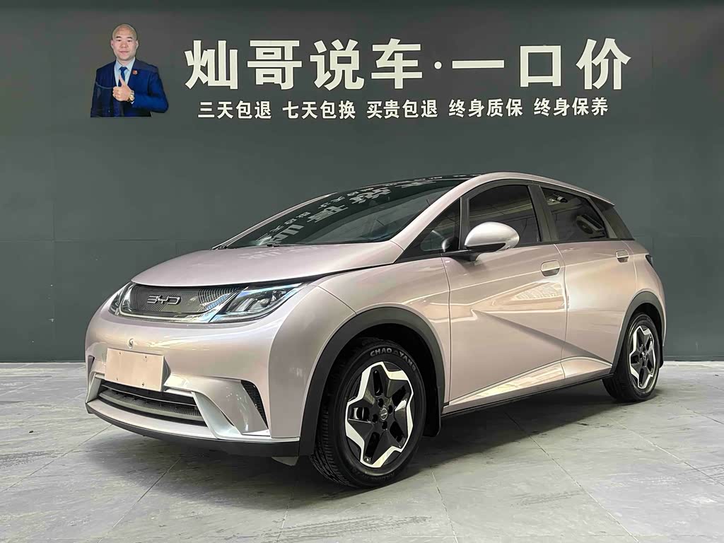 BYD Dolphin