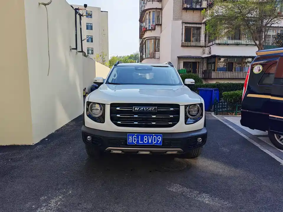 Haval Big dog