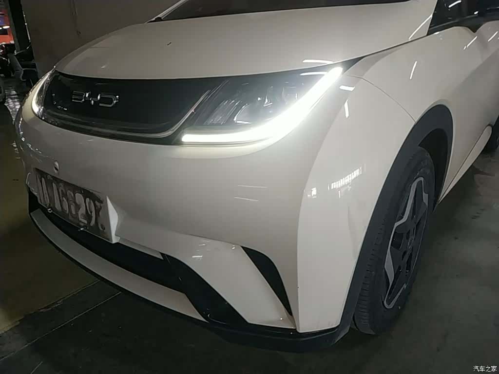 BYD Dolphin, 2023 24