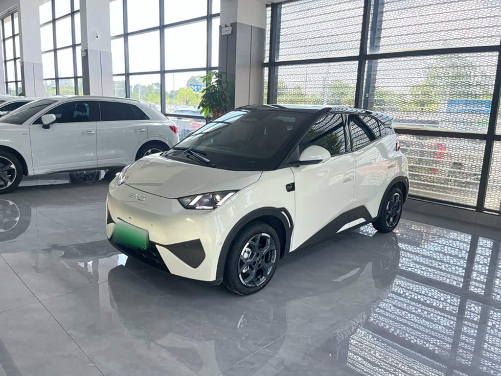 BYD Seagull