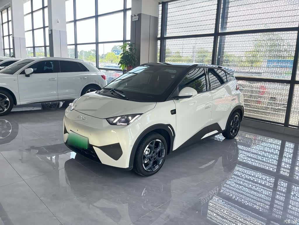 BYD Seagull, 2026 1