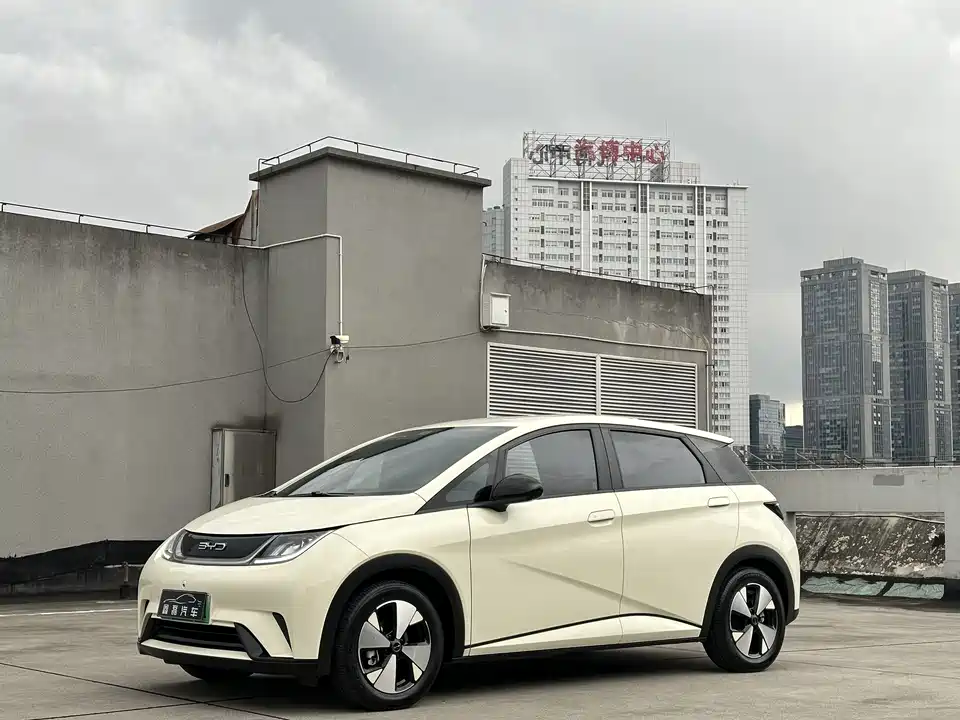 BYD dolphin
