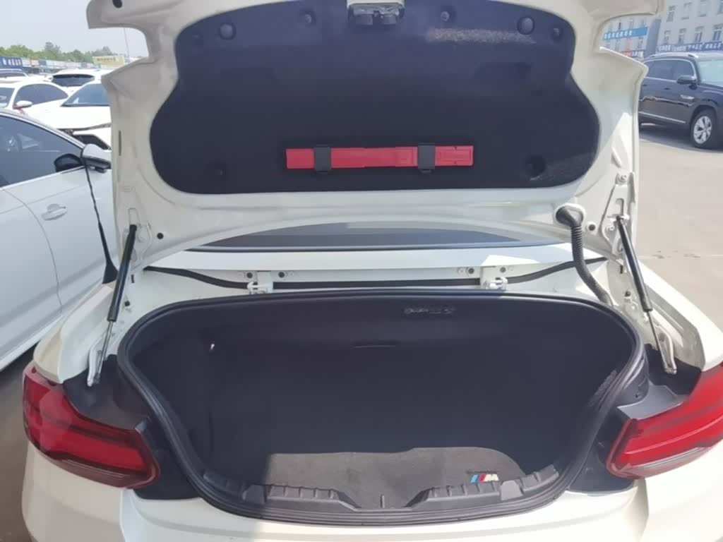 BMW 2 Series, 2018 19
