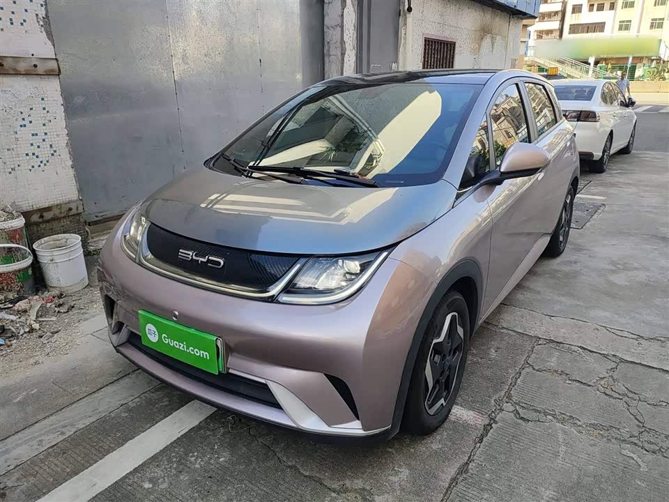 BYD dolphin