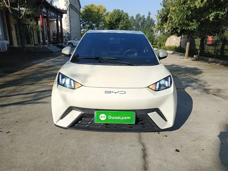 BYD Seagull