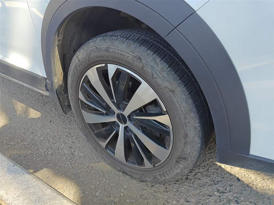 Forthing Popular SX6