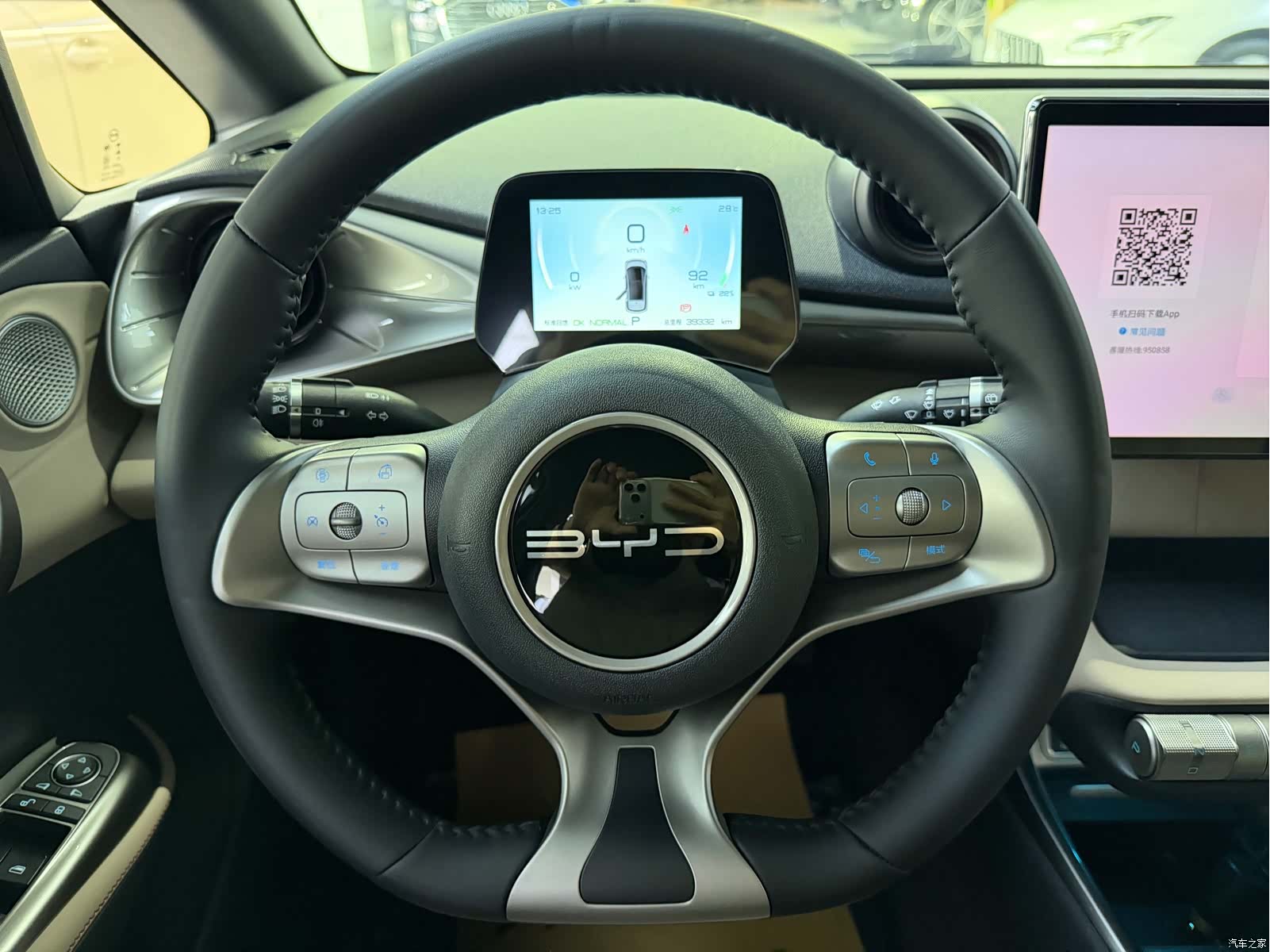 BYD Dolphin, 2023 10