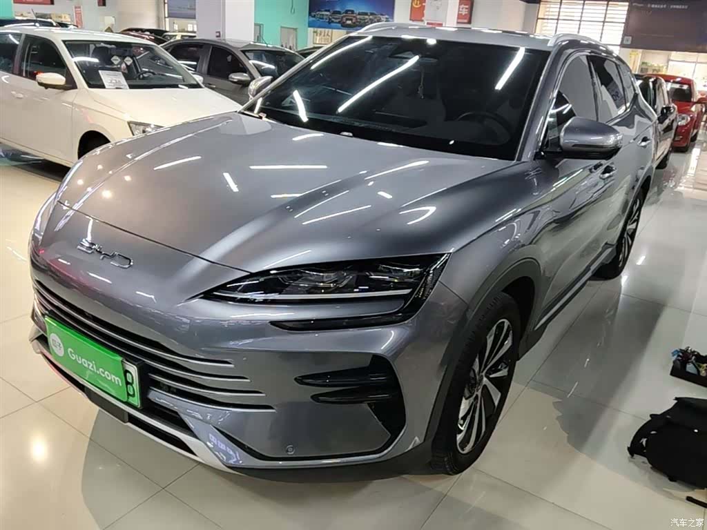 BYD Song, 2024 1