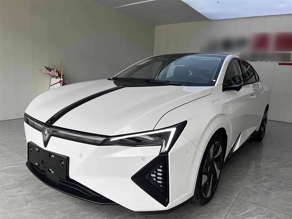 Lingspy L