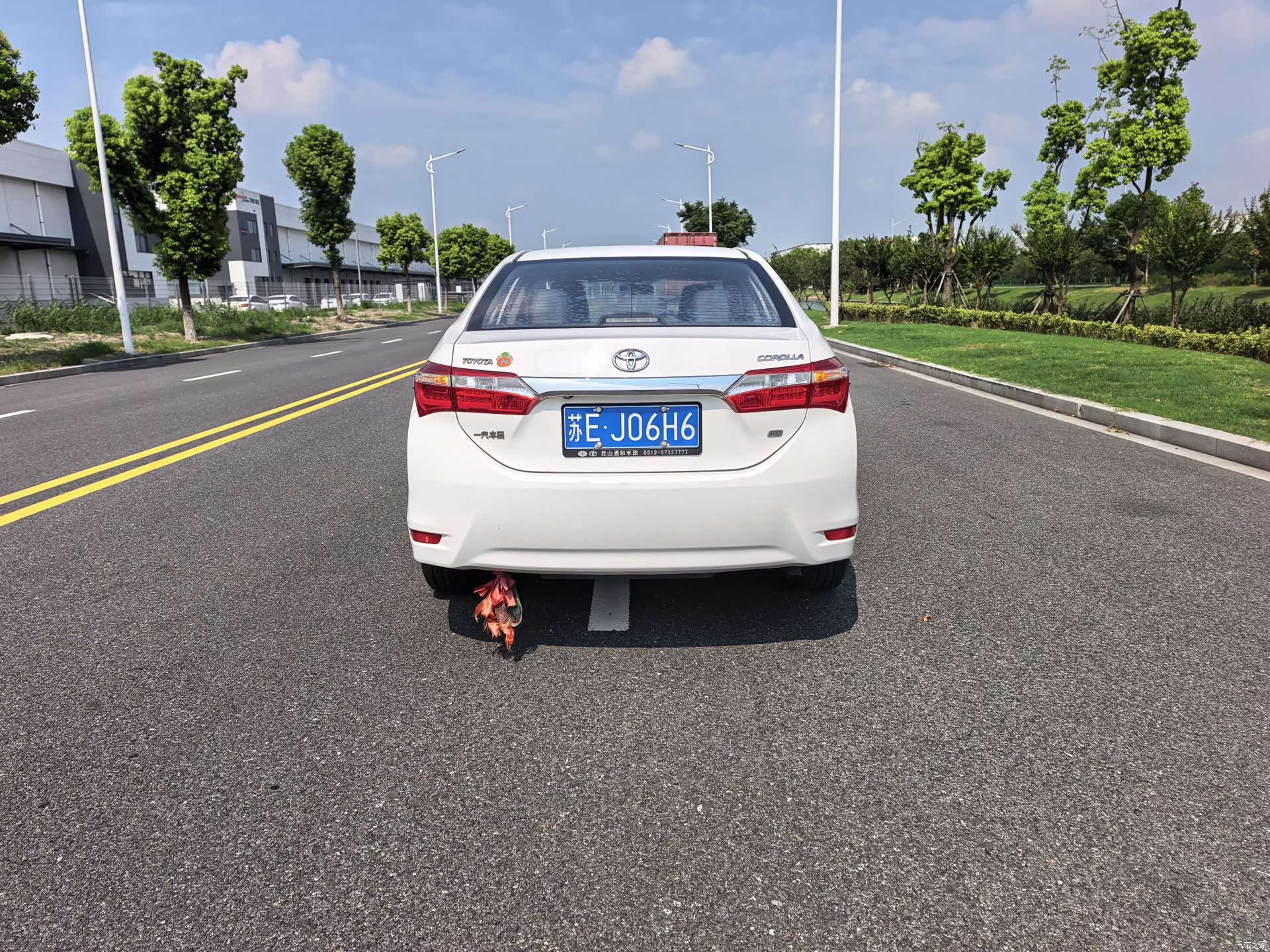 Toyota Corolla, 2014 13