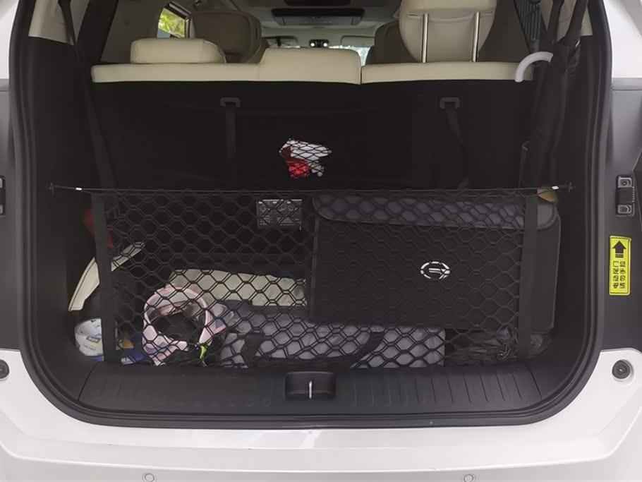 Trumpchi Trumpchi E9