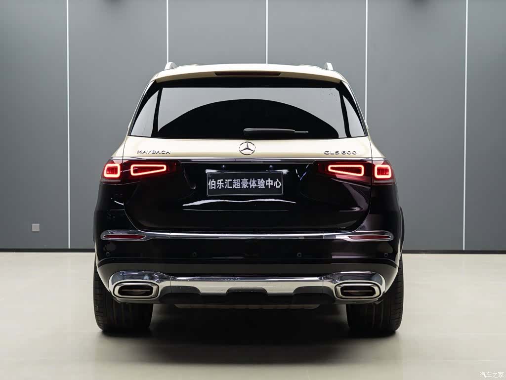 Maybach GLS, 2024 6
