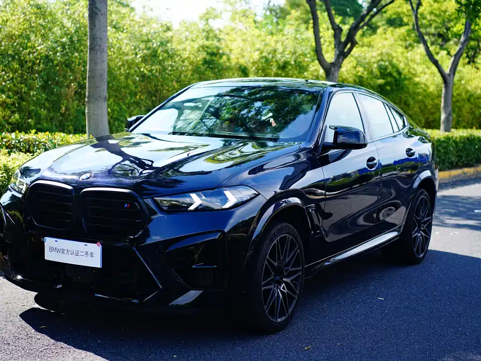 BMW X6 M