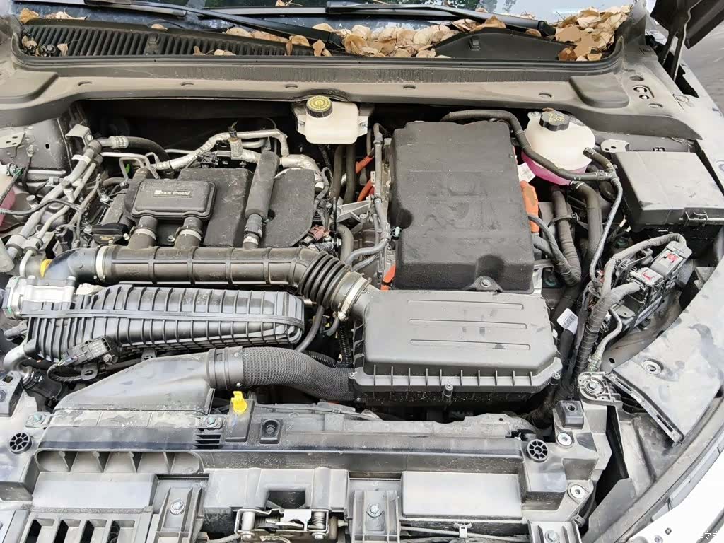 BYD Qin, 2024 11