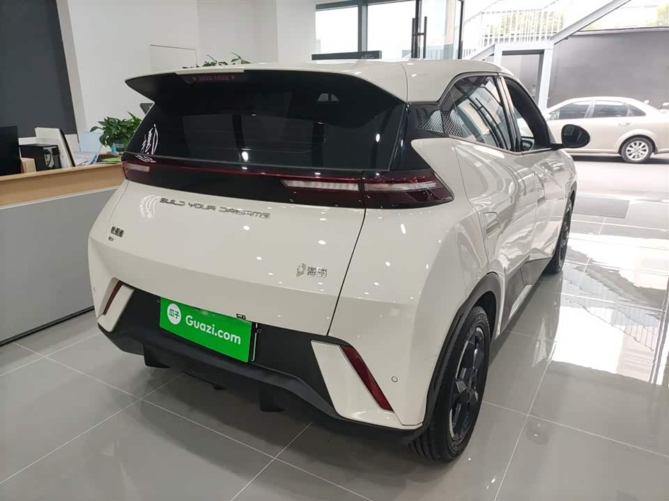 BYD Seagull