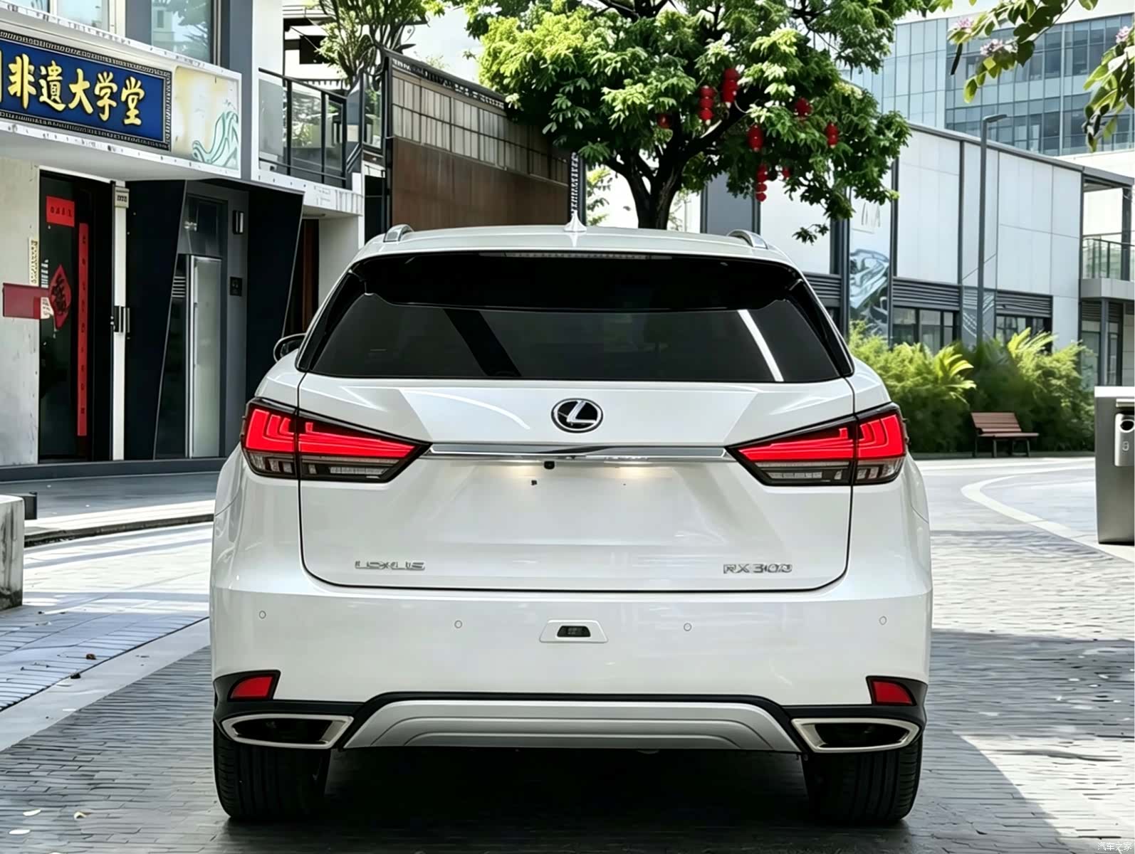 Lexus RX, 2021 8