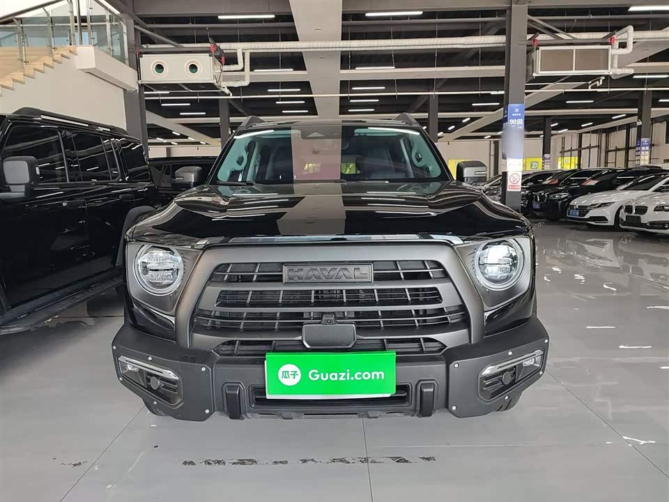 Haval Big dog