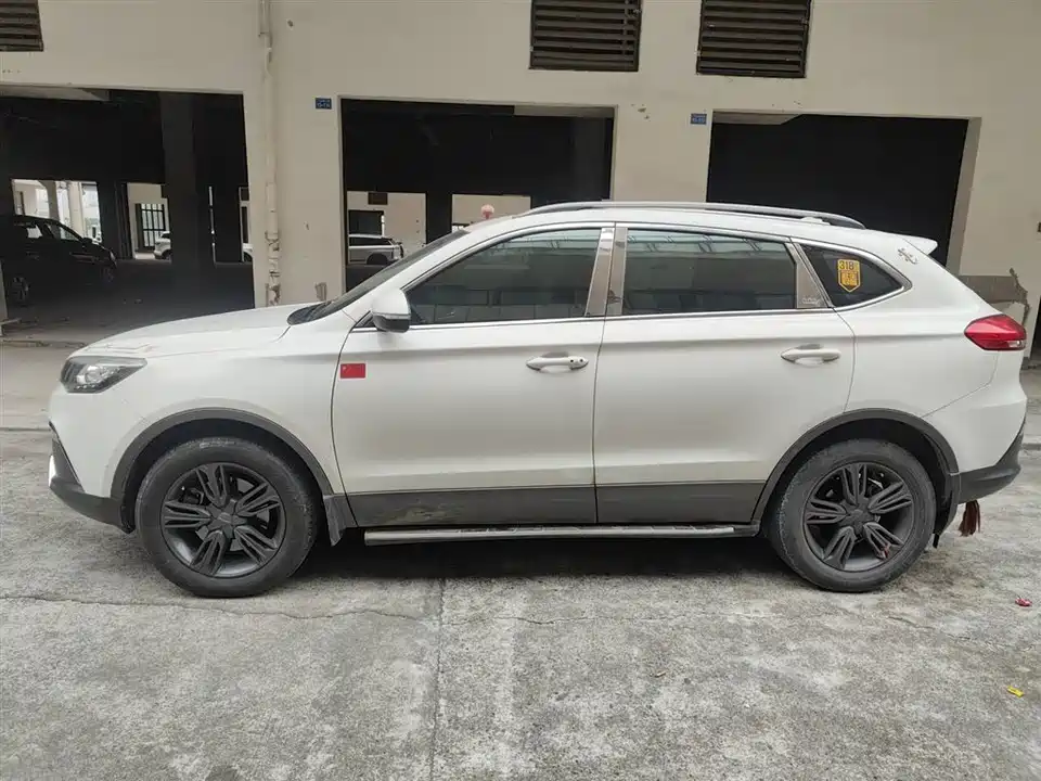 Leopaard Cheetah CS10