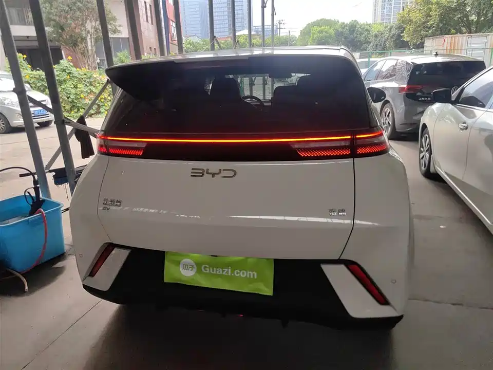 BYD Seagull