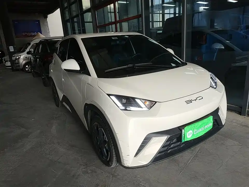 BYD Seagull