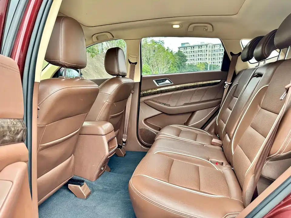 Leopaard Cheetah CS10