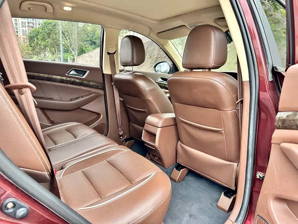 Leopaard Cheetah CS10