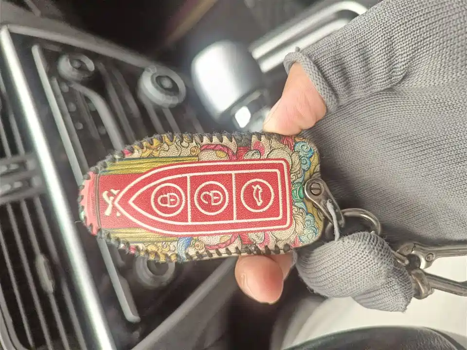 Leopaard Cheetah CS10