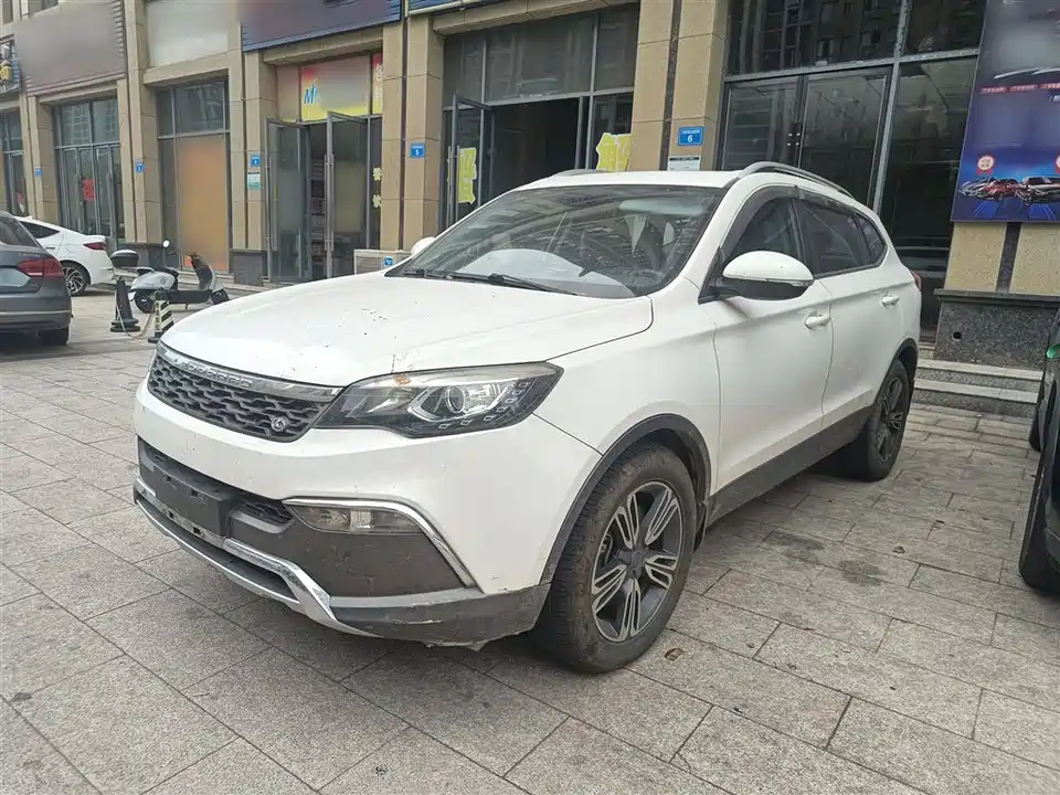 Leopaard Cheetah CS10