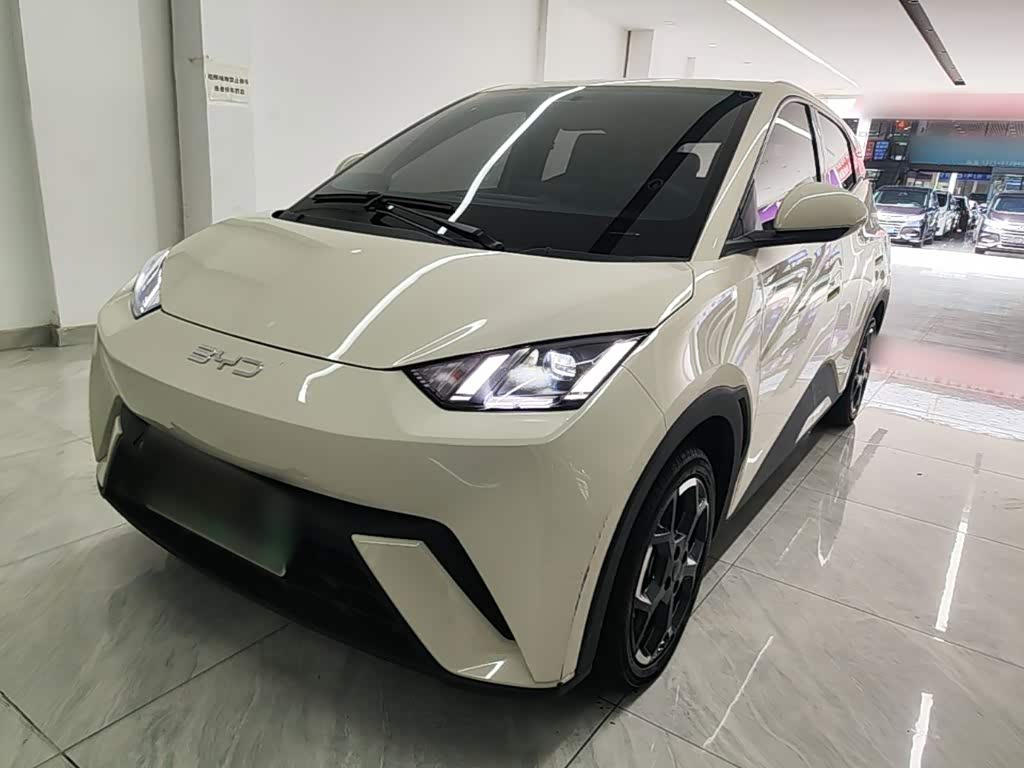 BYD Seagull