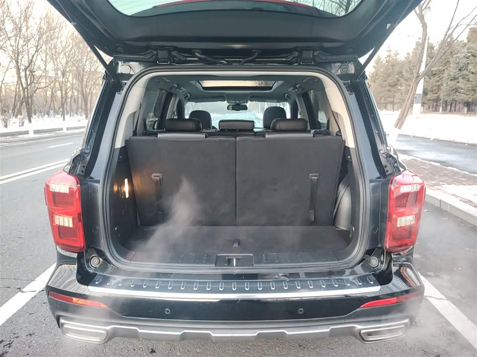 Trumpchi Trumpchi GS8