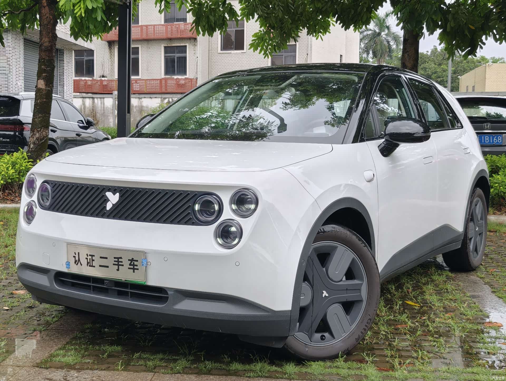 NIO firefly, 2026 2