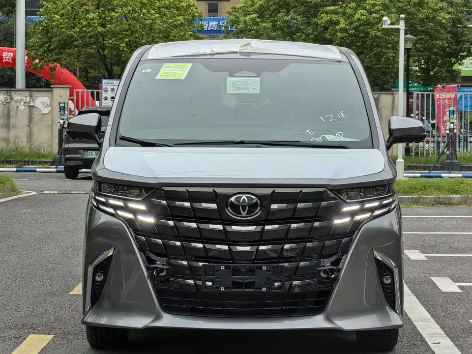 Toyota Elfa