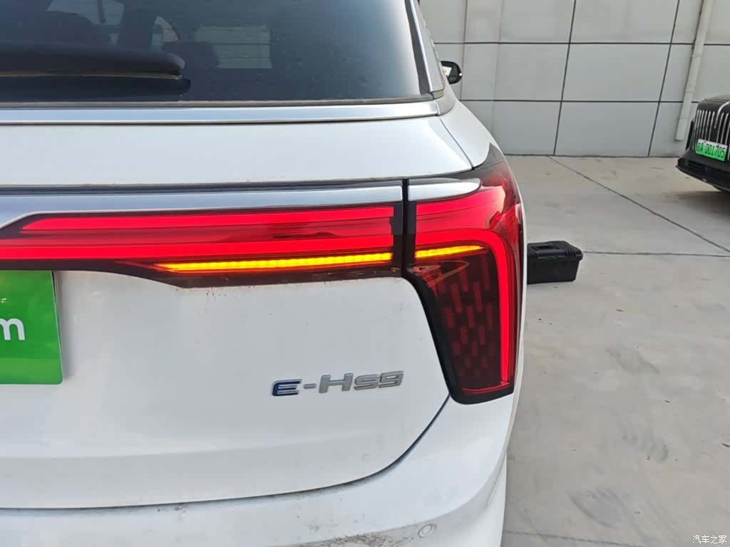 Hongqi E-HS9, 2023 8