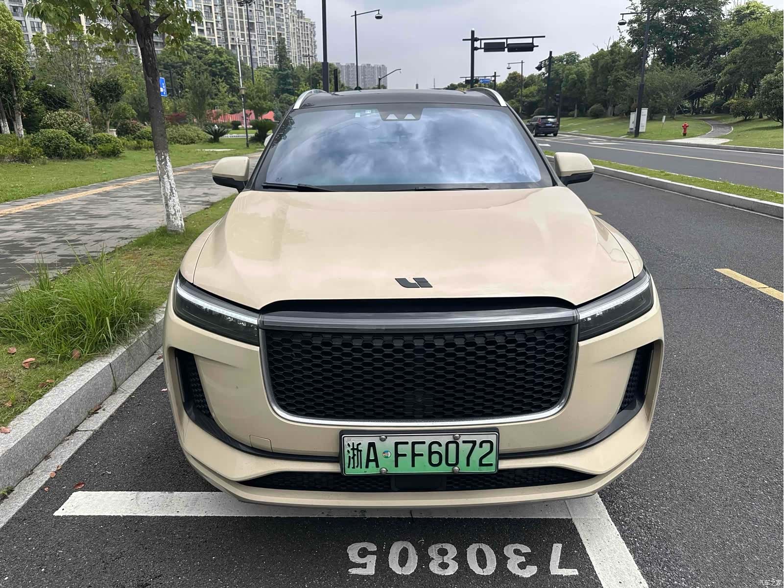 Li Auto ONE, 2020 1