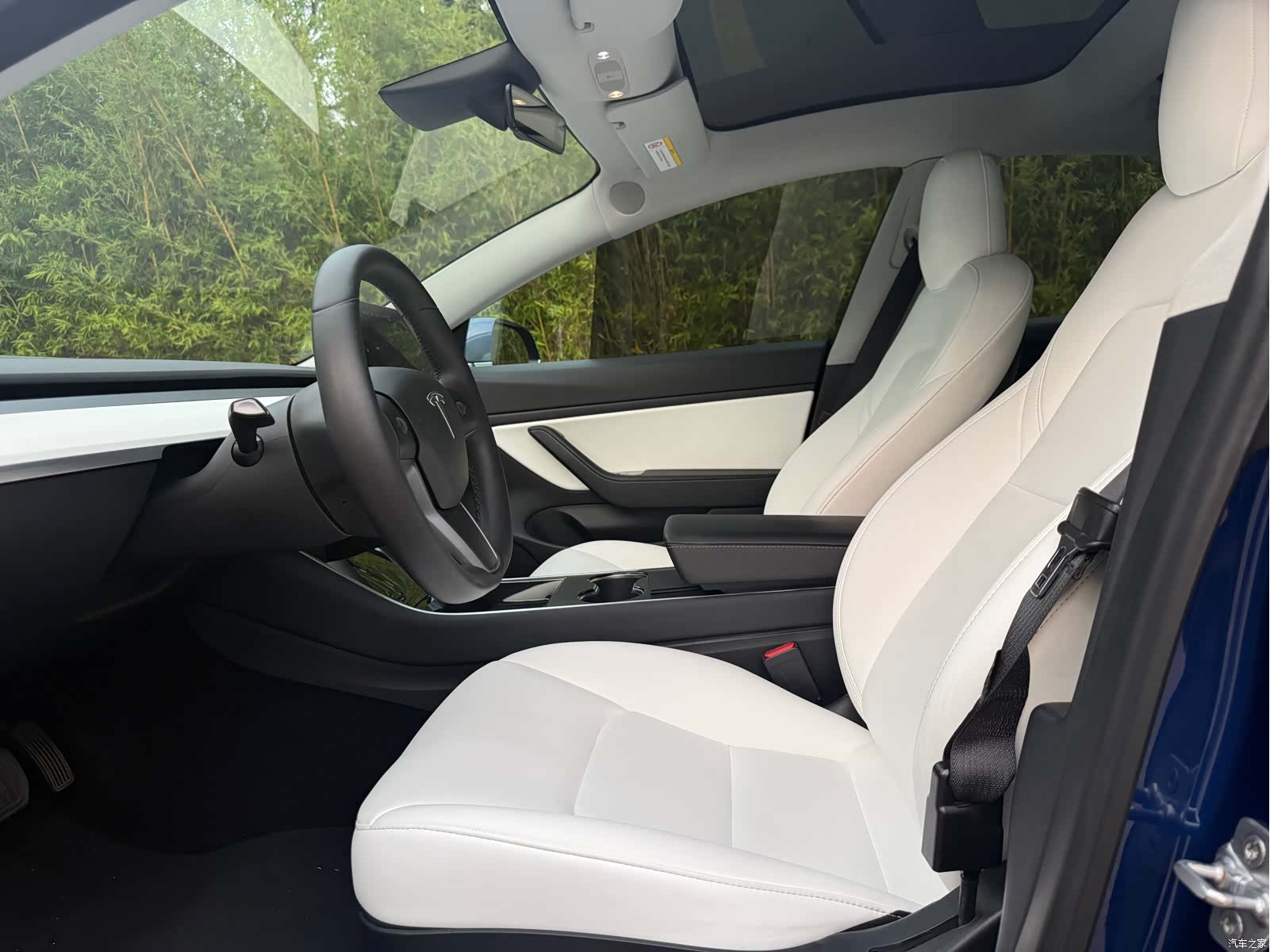 Tesla Model 3, 2020 все фото
