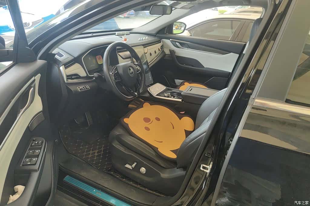 WM Motor EX5, 2020 8