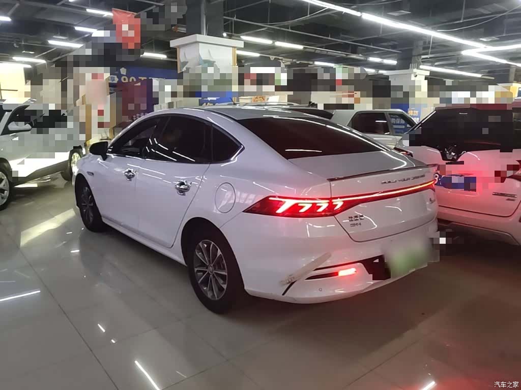 BYD Qin, 2023 все фото