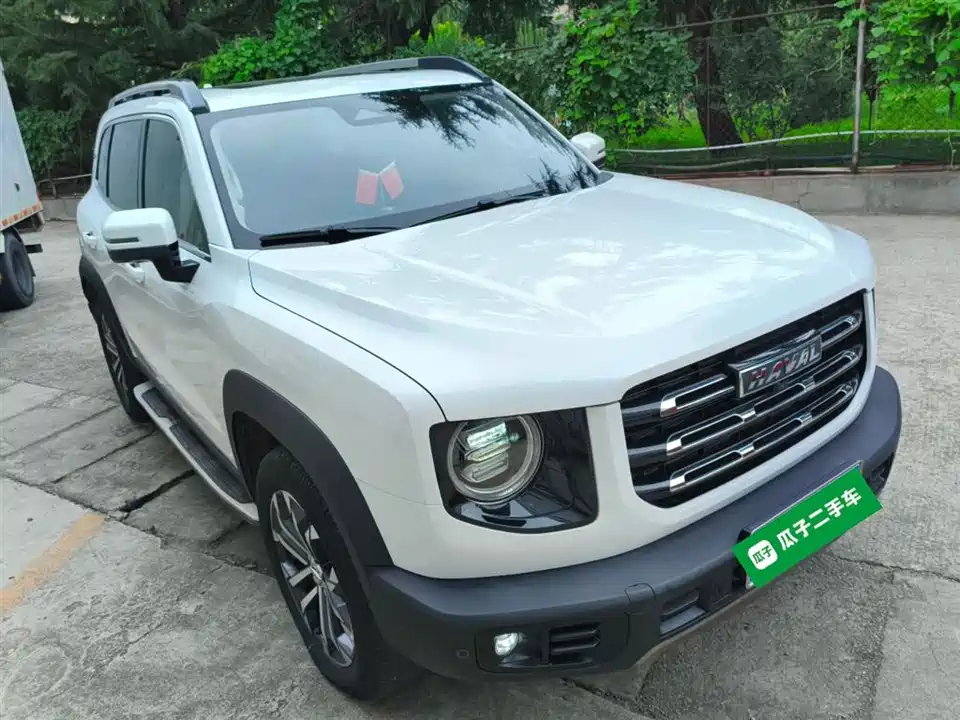 Haval Big dog