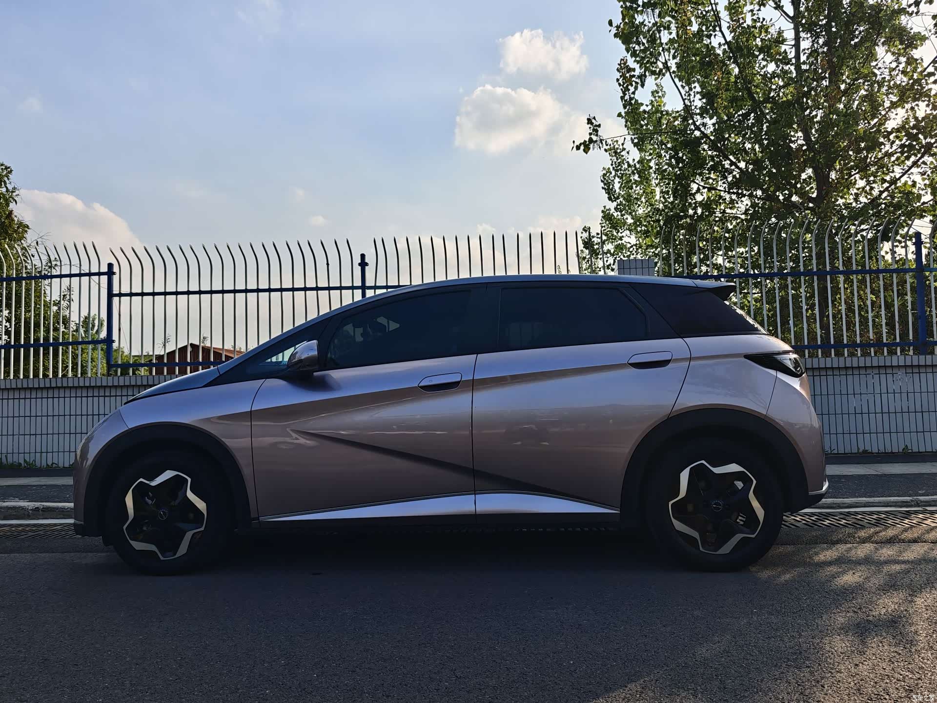 BYD Dolphin, 2021 11