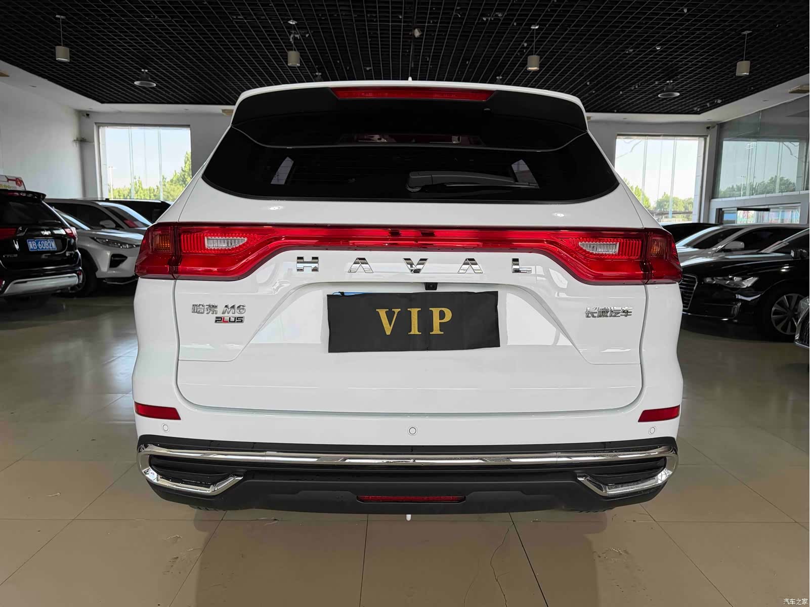 Haval M6, 2024 все фото