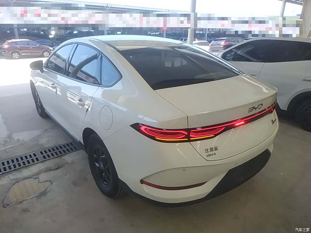 BYD Qin, 2025 все фото