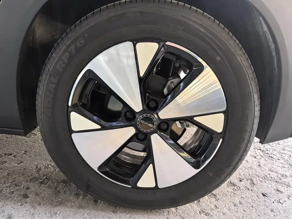 BYD dolphin