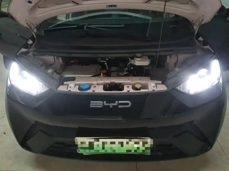 BYD Seagull