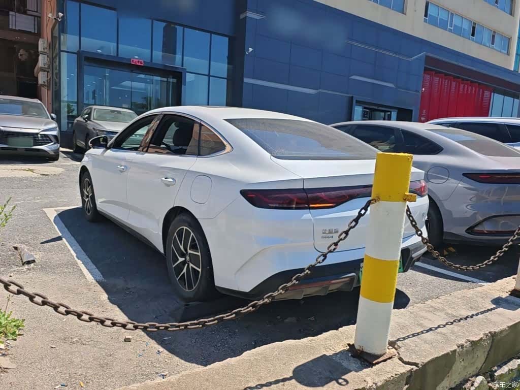 BYD Qin, 2024 все фото